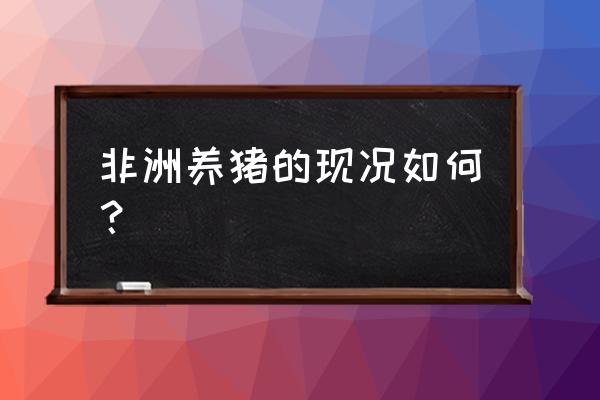 非洲国家养猪吗 非洲养猪的现况如何？