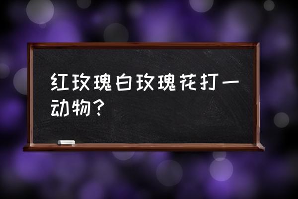 玫瑰花的生肖是什么生肖 红玫瑰白玫瑰花打一动物？