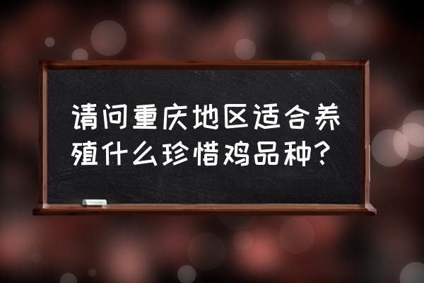 看看重庆的养鸡大神怎么说 请问重庆地区适合养殖什么珍惜鸡品种？