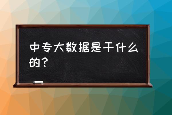 大数据的核心是什么化 中专大数据是干什么的？