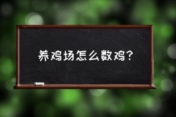 果园散养鸡如何清点数量 养鸡场怎么数鸡？