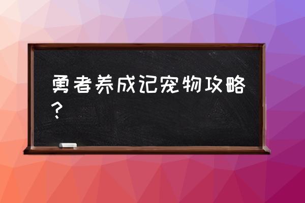 宠物系统有哪些玩法 勇者养成记宠物攻略？