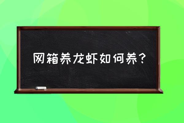 网箱养虾怎样喂料 网箱养龙虾如何养？