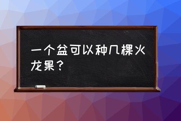 火龙果一个花盆种几颗最合适 一个盆可以种几棵火龙果？