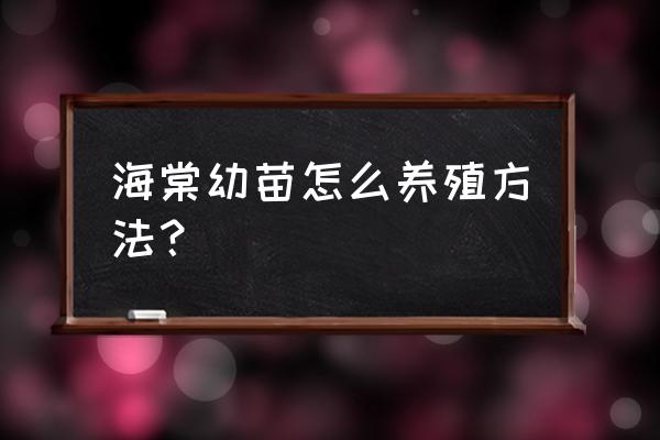 海棠花树苗怎么种植 海棠幼苗怎么养殖方法？