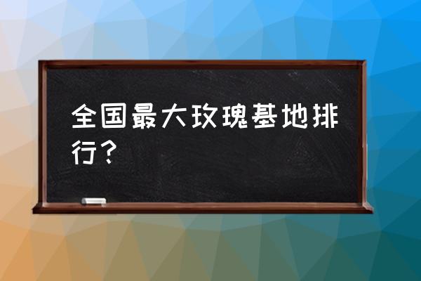 最大的玫瑰产地在哪里 全国最大玫瑰基地排行？