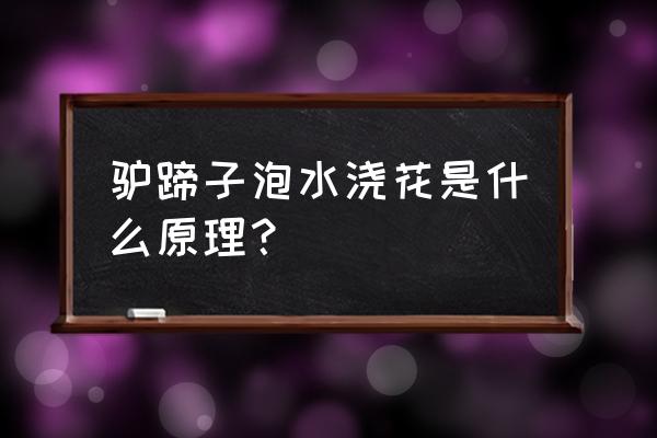 用驴蹄泡的肥水是磷肥吗 驴蹄子泡水浇花是什么原理？