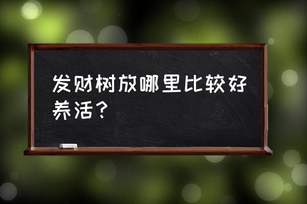 发财树摆在家里什么位置好 发财树放哪里比较好养活？