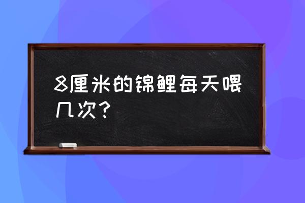 锦鲤胚芽饲料蛋白质多少好 8厘米的锦鲤每天喂几次？