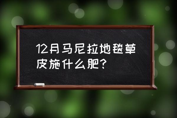 草坪能不能施复合肥 12月马尼拉地毯草皮施什么肥？