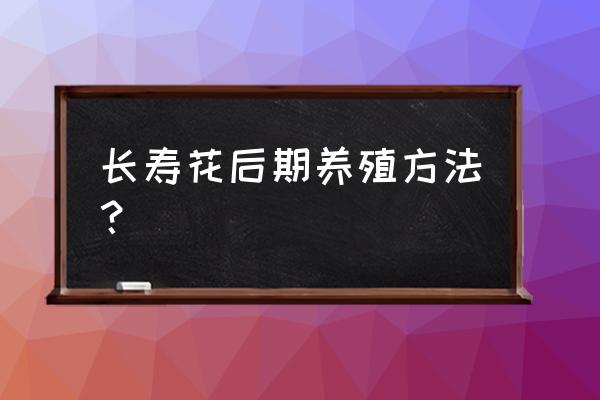 移栽长寿花能放复合肥吗 长寿花后期养殖方法？