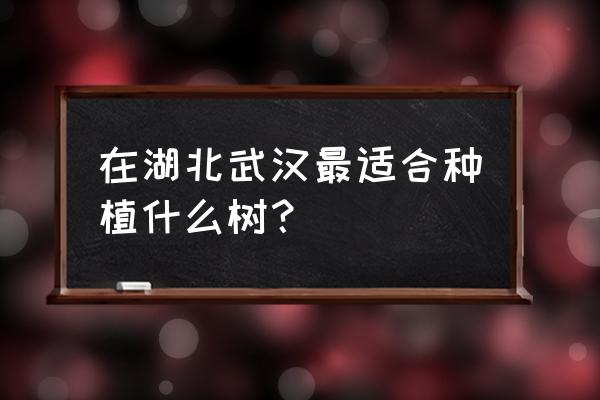 武汉市常用乔木有哪些 在湖北武汉最适合种植什么树？