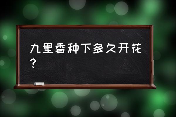 盆栽九里香几年才开花 九里香种下多久开花？