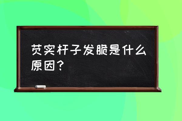 芡实用钾肥中肥毒怎么办 芡实杆子发脆是什么原因？