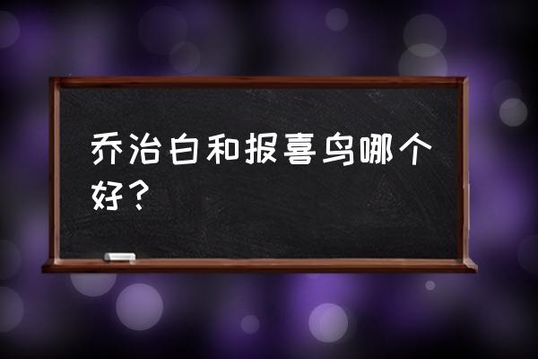 温州报喜鸟工厂在哪里 乔治白和报喜鸟哪个好？