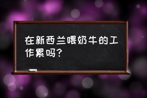 新西兰畜牧业普工做什么 在新西兰喂奶牛的工作累吗？