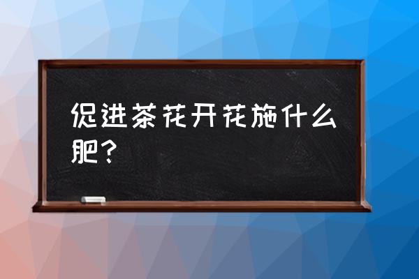 茶花快开花时能施叶面肥吗 促进茶花开花施什么肥？