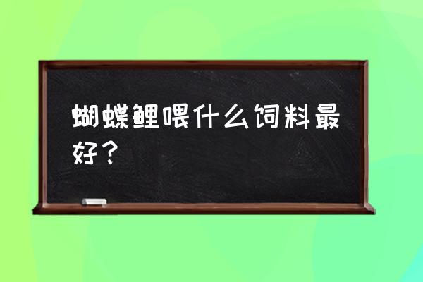 蝴蝶锦鲤喂高蛋白饲料好不好 蝴蝶鲤喂什么饲料最好？