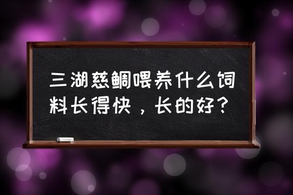 三湖成长喂什么饲料 三湖慈鲷喂养什么饲料长得快，长的好？