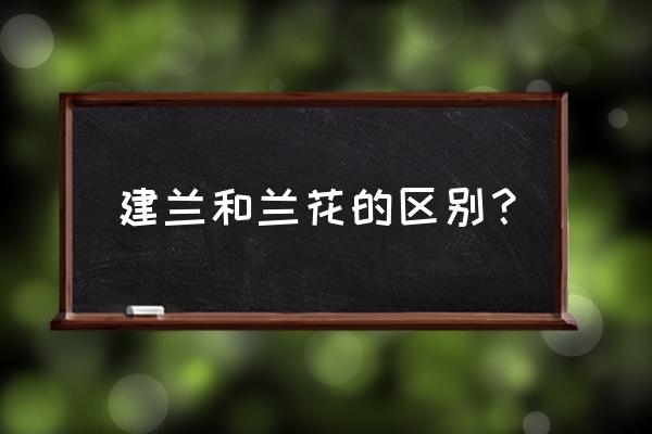 建兰和宋海兰花哪个花 建兰和兰花的区别？