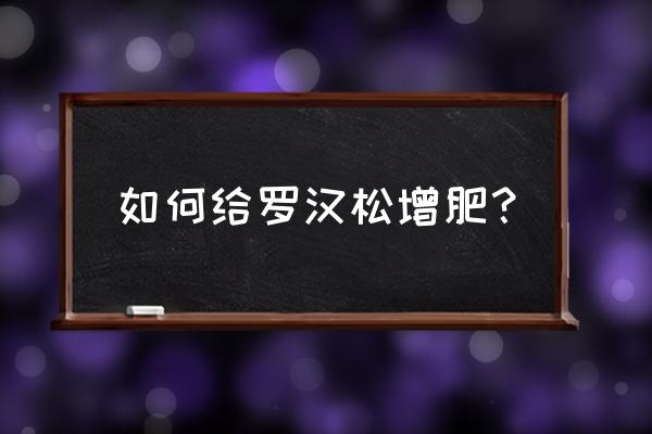 什么东西放花盆可以增肥 如何给罗汉松增肥？