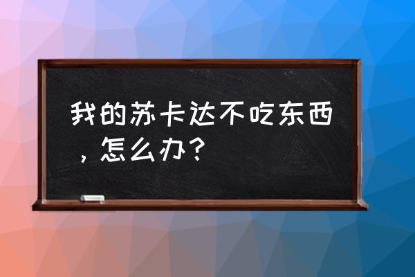 苏卡达不吃饲料怎么办 我的苏卡达不吃东西，怎么办？