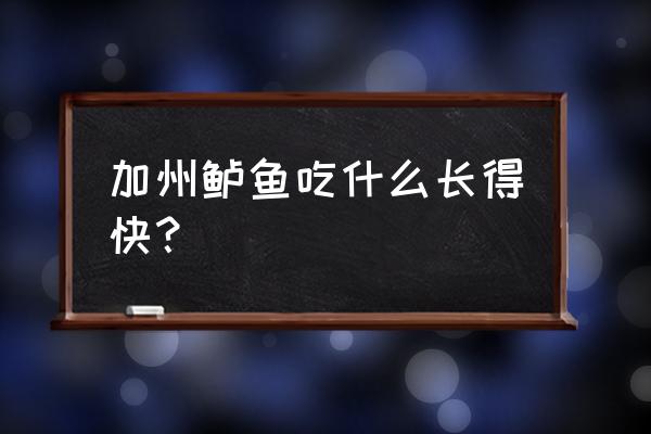 加州鲈鱼饲料需要几多蛋白含量 加州鲈鱼吃什么长得快？