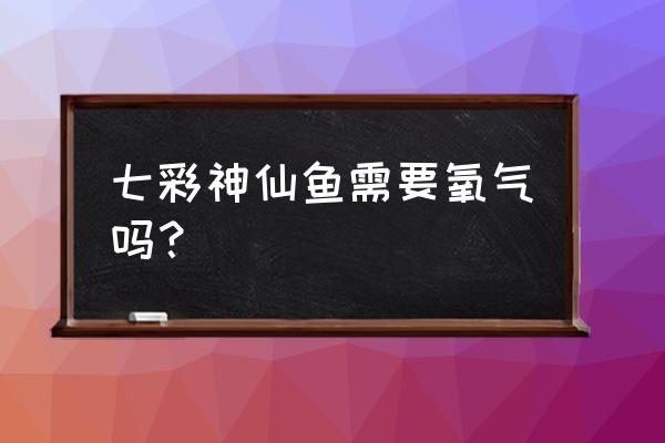 七彩燕鱼能不能喂人工饲料 七彩神仙鱼需要氧气吗？