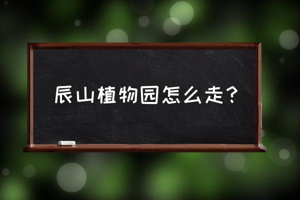 七宝到辰山植物园怎么过去 辰山植物园怎么走？