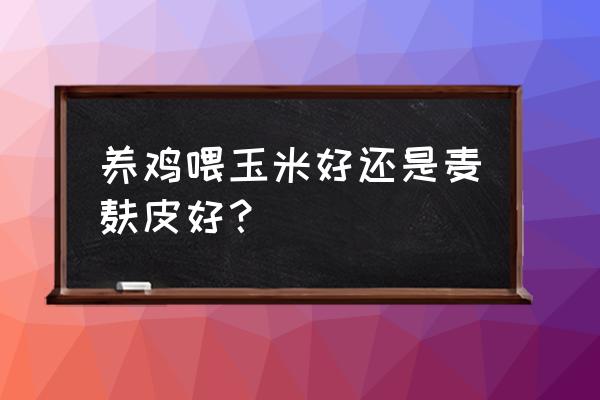 玉米皮饲料喂鸡好吗 养鸡喂玉米好还是麦麸皮好？