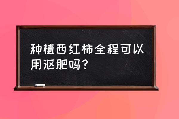 厨余发酵堆肥最快方法 种植西红柿全程可以用沤肥吗？