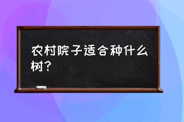 小学生最适合种什么植物 农村院子适合种什么树？