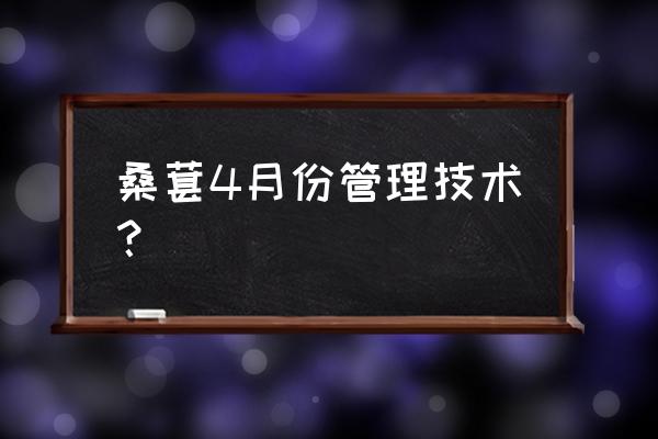 桑葚树苗种植时间 桑葚4月份管理技术？