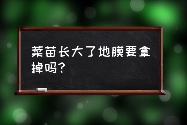 保墒和保湿是一回事么 菜苗长大了地膜要拿掉吗？