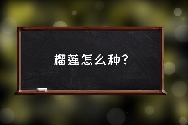 榴莲盆栽种植方法与技巧 榴莲怎么种？