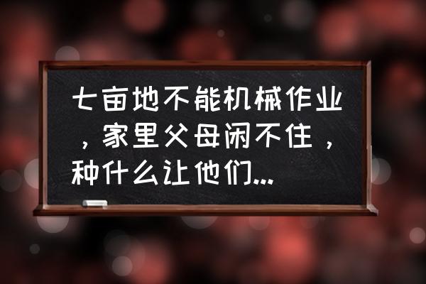 核桃黄精糕的做法 七亩地不能机械作业，家里父母闲不住，种什么让他们轻松点？