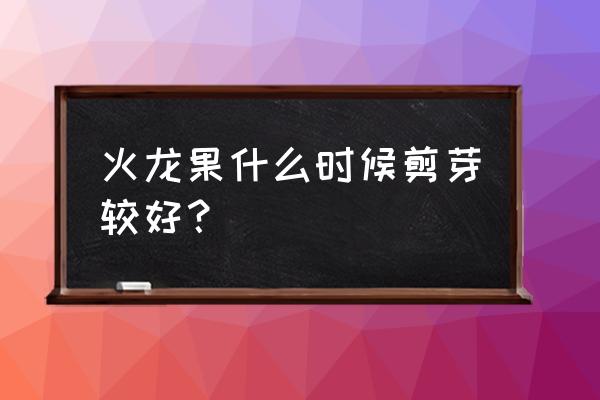 盆栽火龙果修剪的最佳时间 火龙果什么时候剪芽较好？