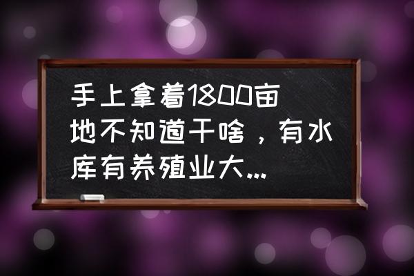 心力物语礼包兑换码大全2022 手上拿着1800亩地不知道干啥，有水库有养殖业大佬给意见吗？