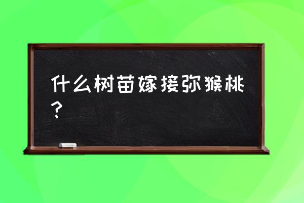 嫁接各种苗木 什么树苗嫁接弥猴桃？