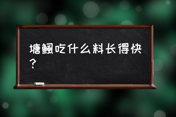 塘角鱼饵料怎么调 塘鲺吃什么料长得快？