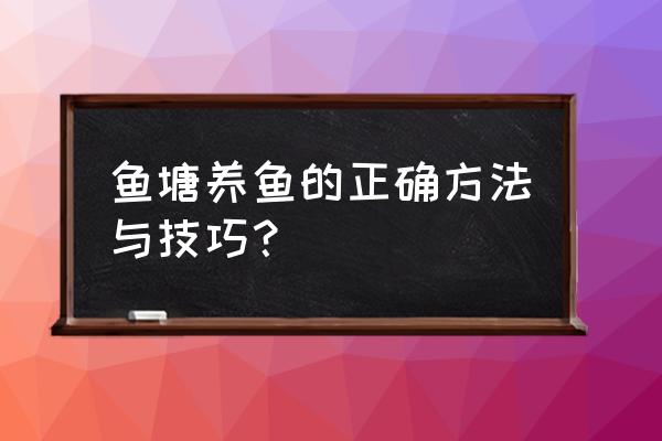 自己家的鱼塘如何养鱼 鱼塘养鱼的正确方法与技巧？