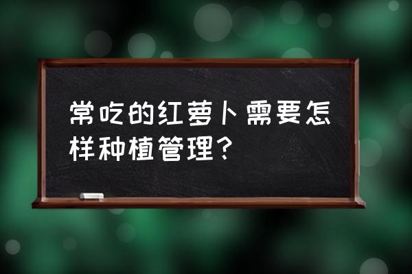 如何正确种植胡萝卜 常吃的红萝卜需要怎样种植管理？