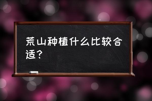 春天粘土手工作品大全 荒山种植什么比较合适？