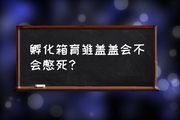 小鸡孵化箱 孵化箱育雏盖盖会不会憋死？