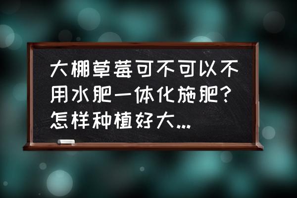 草莓大棚用什么加温最好 大棚草莓可不可以不用水肥一体化施肥？怎样种植好大棚草莓？