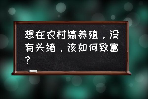 养殖什么能挣钱最容易成功 想在农村搞养殖，没有头绪，该如何致富？