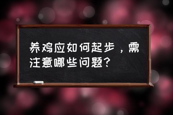 如何选购优质的正宗土鸡 养鸡应如何起步，需注意哪些问题？