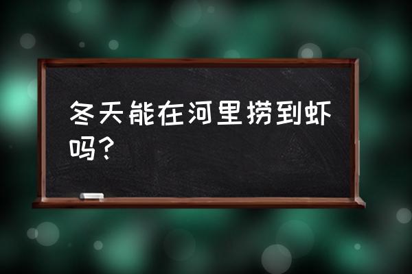 冬季河虾的生活习惯 冬天能在河里捞到虾吗？