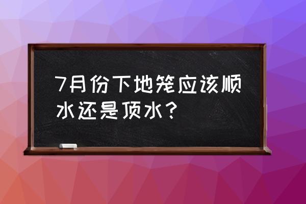 地笼两头放还是一头打开 7月份下地笼应该顺水还是顶水？