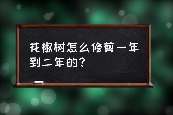 十几年的花椒树现在怎么修剪 花椒树怎么修剪一年到二年的？